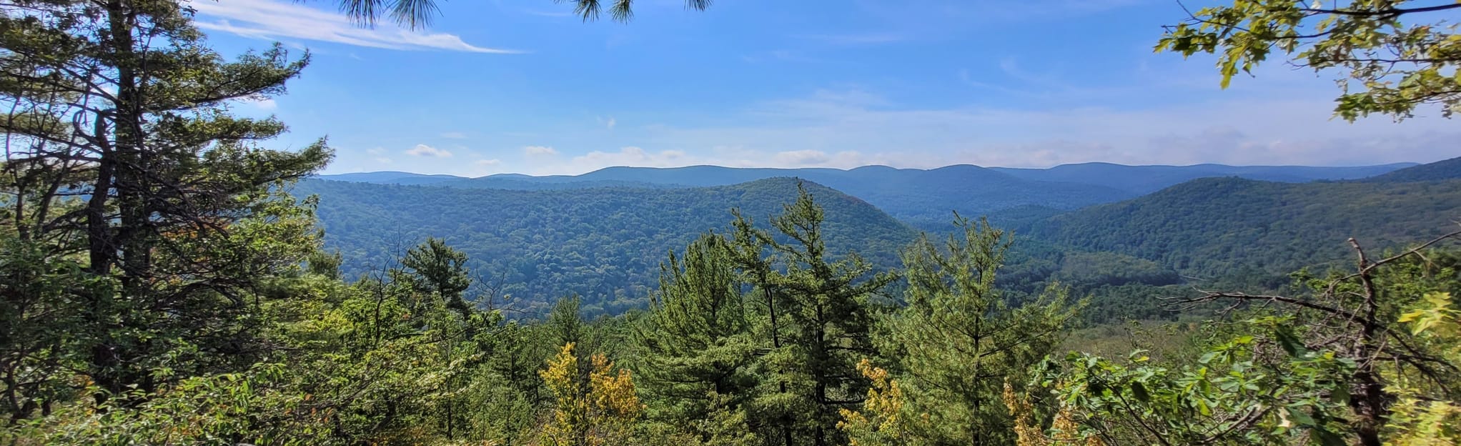 Pine Knob via Appalachian Trail Loop, Connecticut 1,559 Reviews, Map