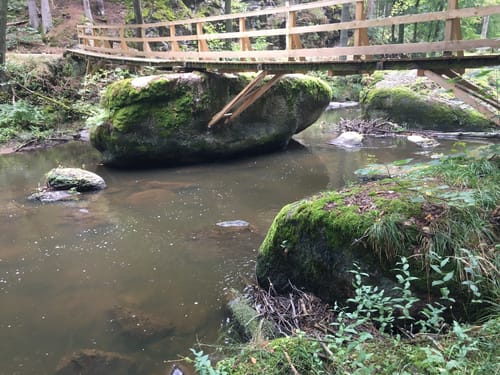 Waldnaabtal Rundweg (Hammermühl-Runde kurz)