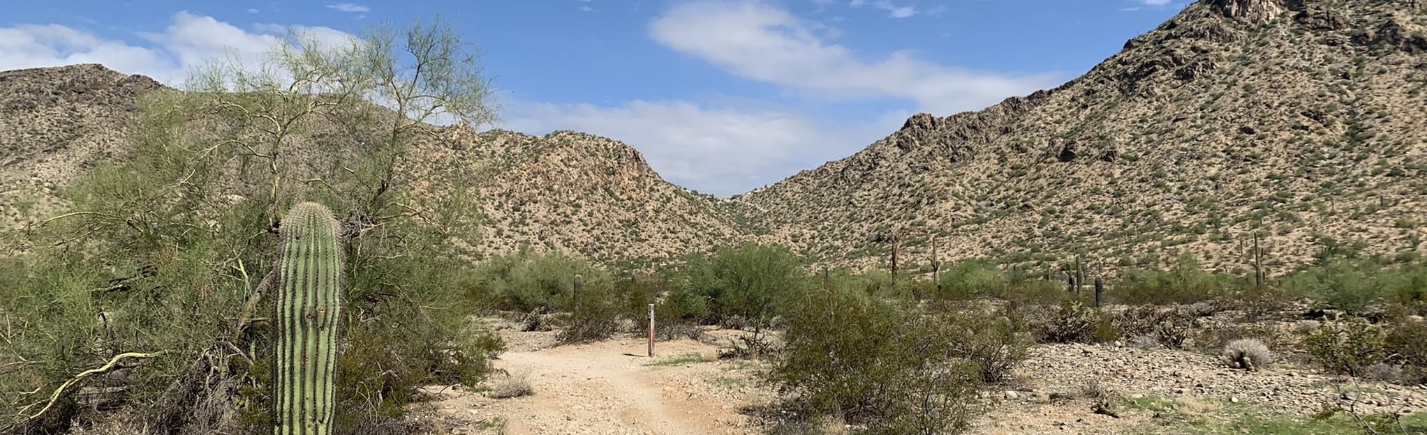 Desert Classic via Telegraph Pass Trail Arizona AllTrails