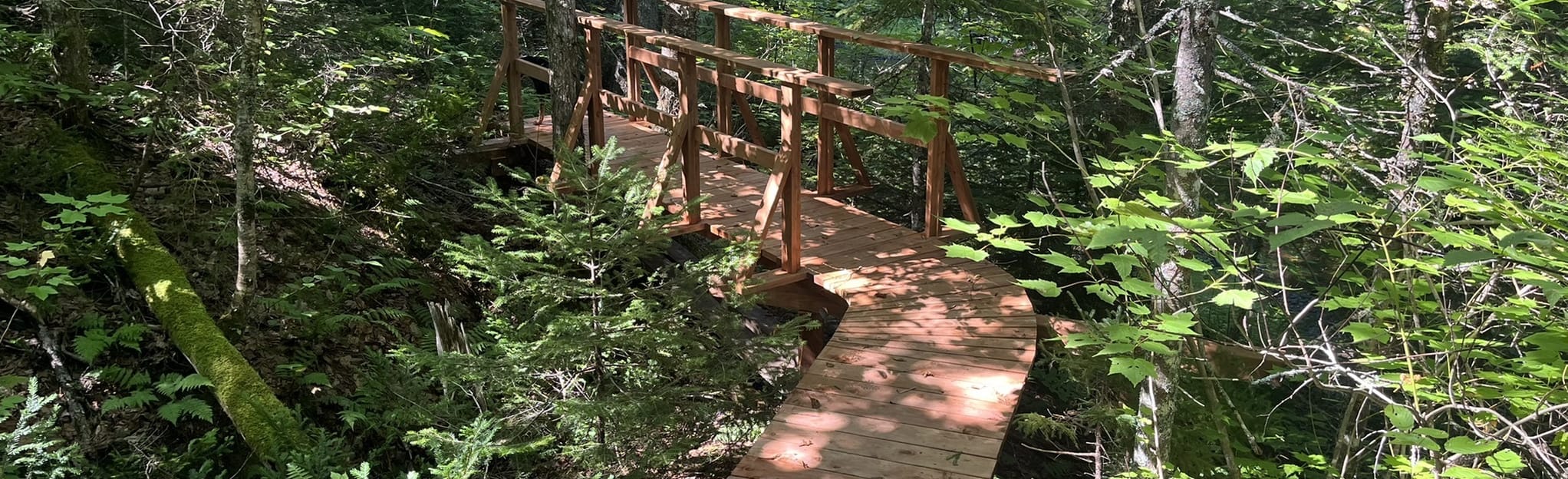 Dromore Woodlands Trail Centre Loop, Prince Edward Island, Canada 23