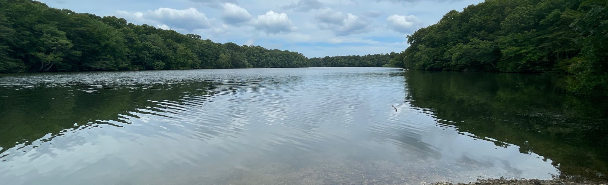 Blydenburgh County Park Stump Pond Loop - New York | AllTrails