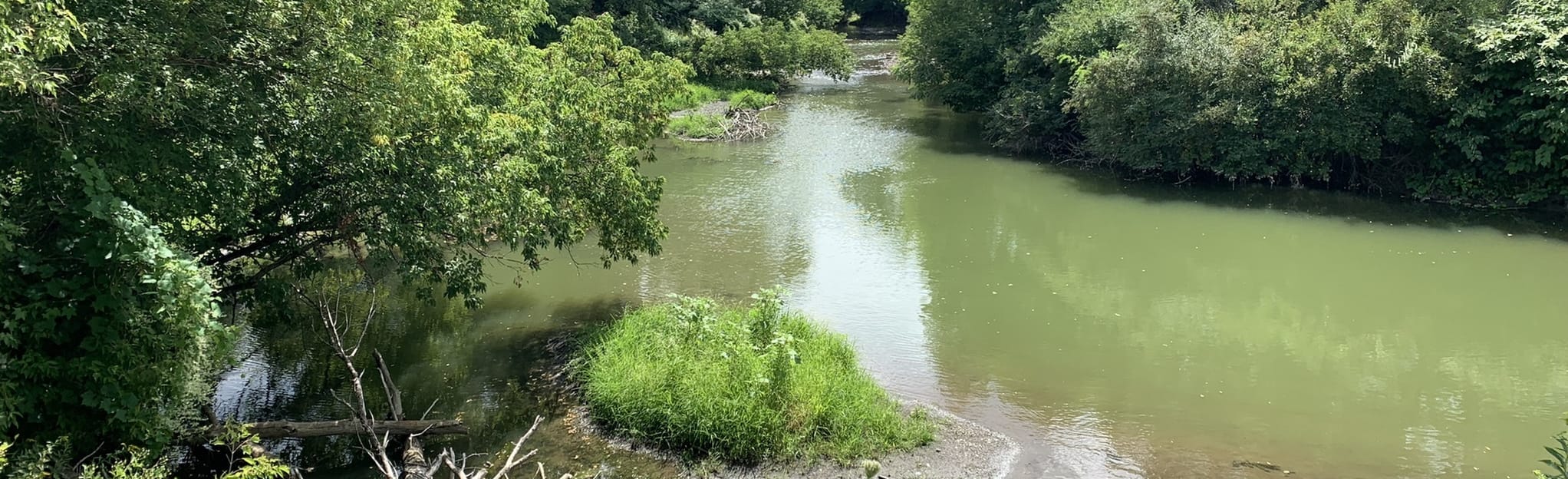 DrydenFreeville Rail Trail, New York 101 Reviews, Map AllTrails