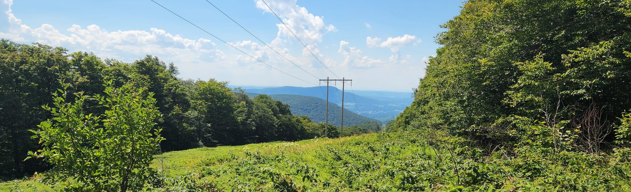 Glastenbury Mountain via Long Trail - EyJidWNrZXQiOiJhc3NldHMuYWxsdHJhaWxzLmNvbSIsImtleSI6InVwbG9hZHMvcGhvdG8vaW1hZ2UvNTEwNTg3NjgvNzQyOWE0ODU2YWMzNTZhOTY5YmYxZDhiZDRhY2RkYzMuanBnIiwiZWRpdHMiOnsidG9Gb3JtYXQiOiJqcGVnIiwicmVzaXplIjp7IndpZHRoIjoyMDQ0LCJoZWlnaHQiOjYyNCwiZml0IjoiY292ZXIifSwicm90YXRlIjpudWxsLCJqcGVnIjp7InRyZWxsaXNRdWFudGlzYXRpb24iOnRydWUsIm92ZXJzaG9vdERlcmluZ2luZyI6dHJ1ZSwib3B0aW1pc2VTY2FucyI6dHJ1ZSwicXVhbnRpc2F0aW9uVGFibGUiOjN9fX0=