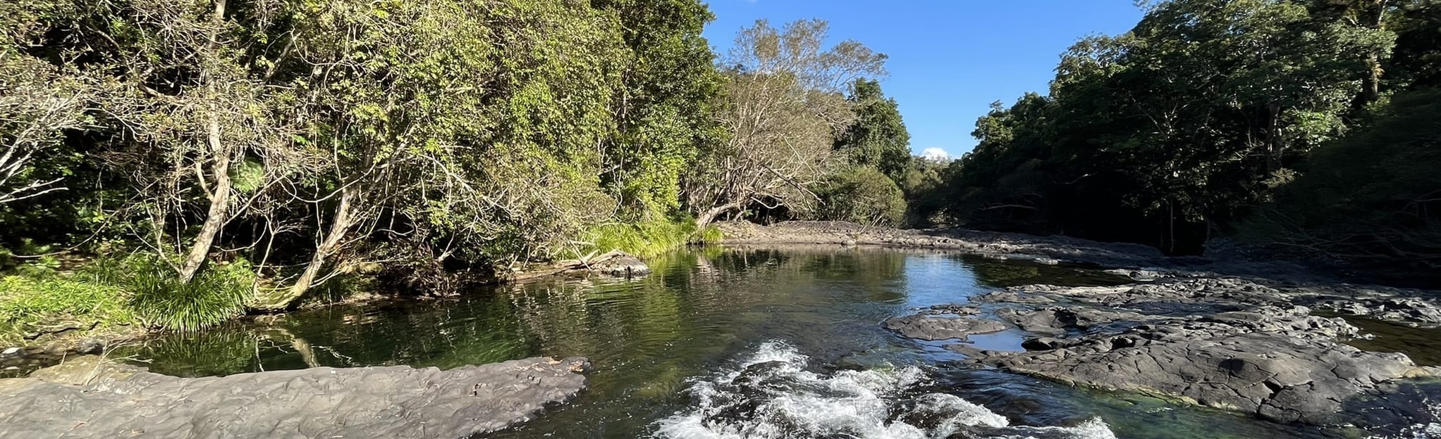 Goldfield Trail, Queensland, Australia 48 Reviews, Map AllTrails