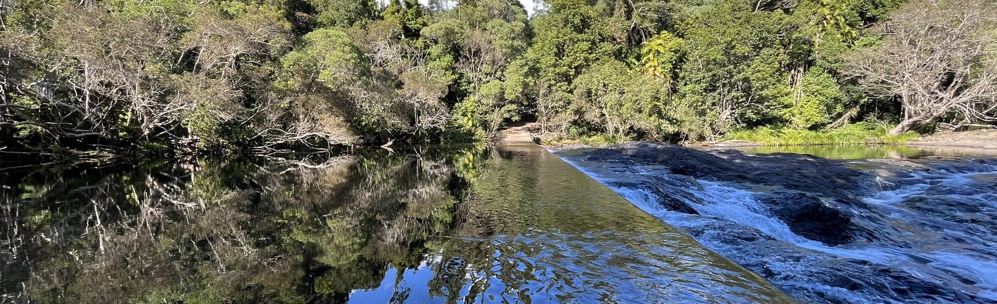 Goldfield Trail Mappa, Guida Queensland, Australia AllTrails
