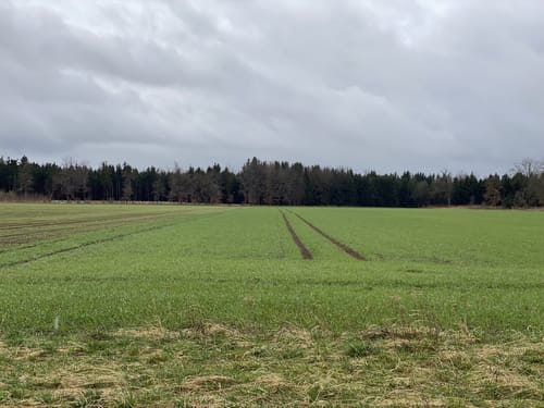 Waldfriedhof Putzbrunn ab Ottobrunn