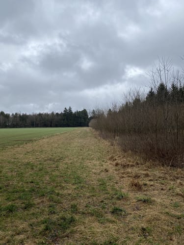 Waldfriedhof Putzbrunn ab Ottobrunn