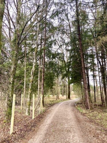 Waldfriedhof Putzbrunn ab Ottobrunn