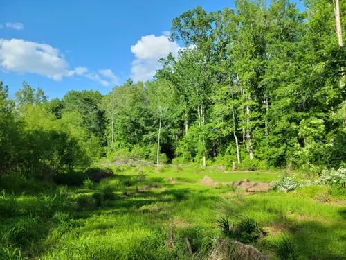 Shop - Second to Nature Greensboro