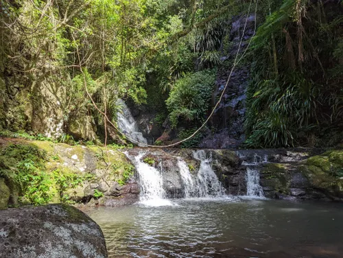 10 Best Walking Trails in Lamington National Park | AllTrails