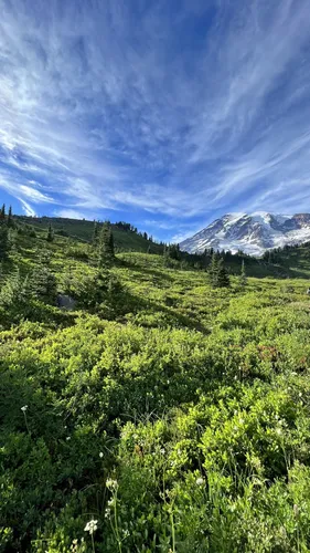 Trails in Paradise, Washington, United States 51073582 | AllTrails.com