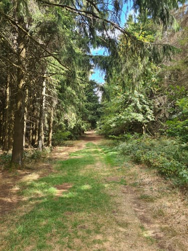 Hochrhöntour (Extratour)