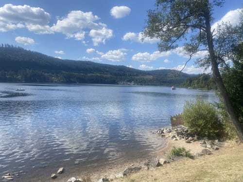 Titisee Rundweg