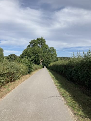 Rund um das Aachener Köpfchen