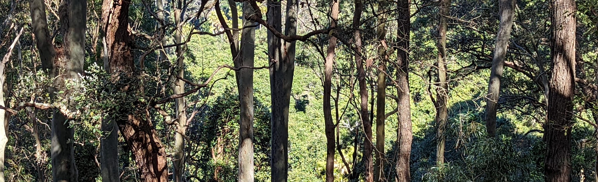 Wambina Nature Reserve, New South Wales, Australia - 11 Reviews, Map ...