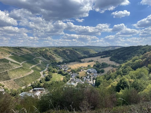 Dhrontalweg