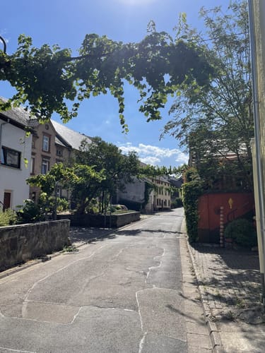 Dhrontalweg