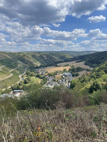 Dhrontalweg