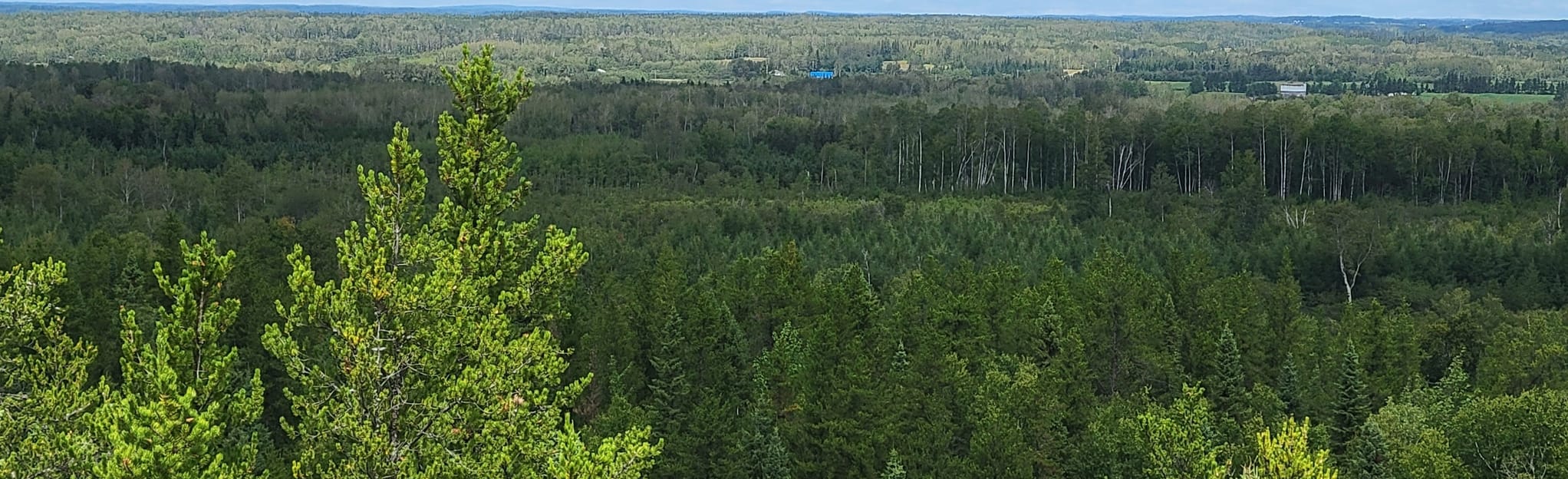 Moon Trail and White Bétulaie Trail, Quebec, Canada 7 Reviews, Map