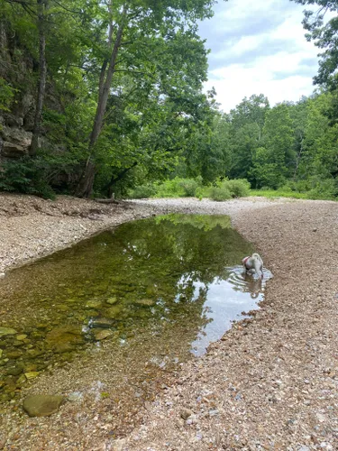 Best Hikes and Trails in Clifty Creek Conservation Area | AllTrails