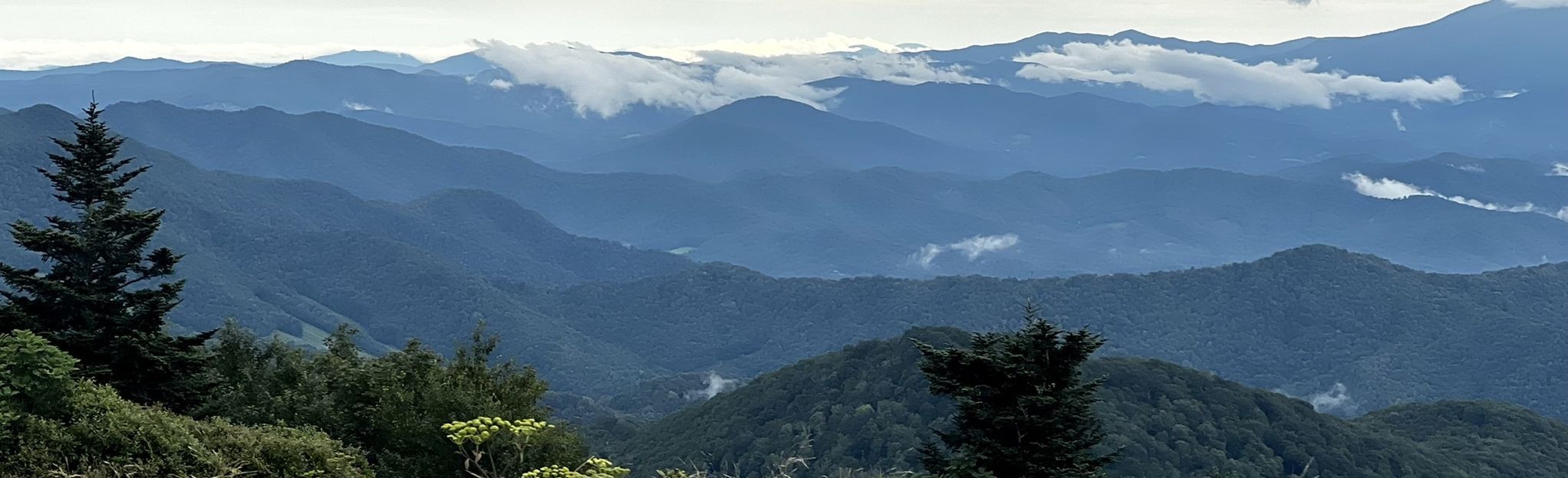 Appalachian Trail: Carver's Gap to Yellow Mountain Gap: 339 Reviews ...