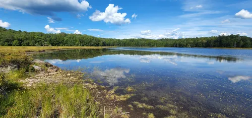 Best 10 Hiking Trails in Ferris Lake Wild Forest | AllTrails