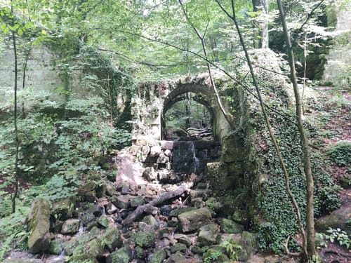 Die Burgen des Polenztals: Hohnstein und Hockstein [CLOSED]