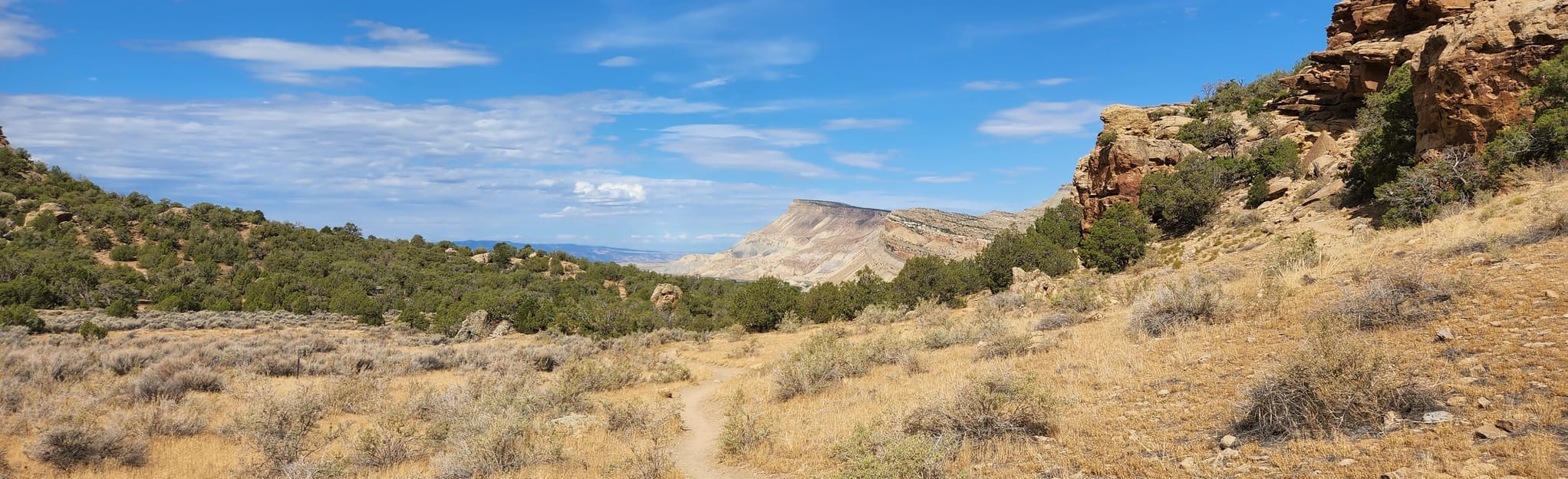 Palisade Rim Trail Colorado AllTrails