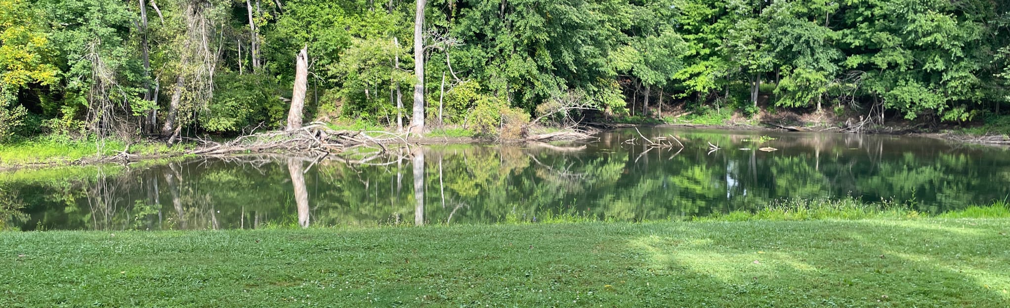 Green Leaf Park Loop 48 Reviews, Map Ohio AllTrails