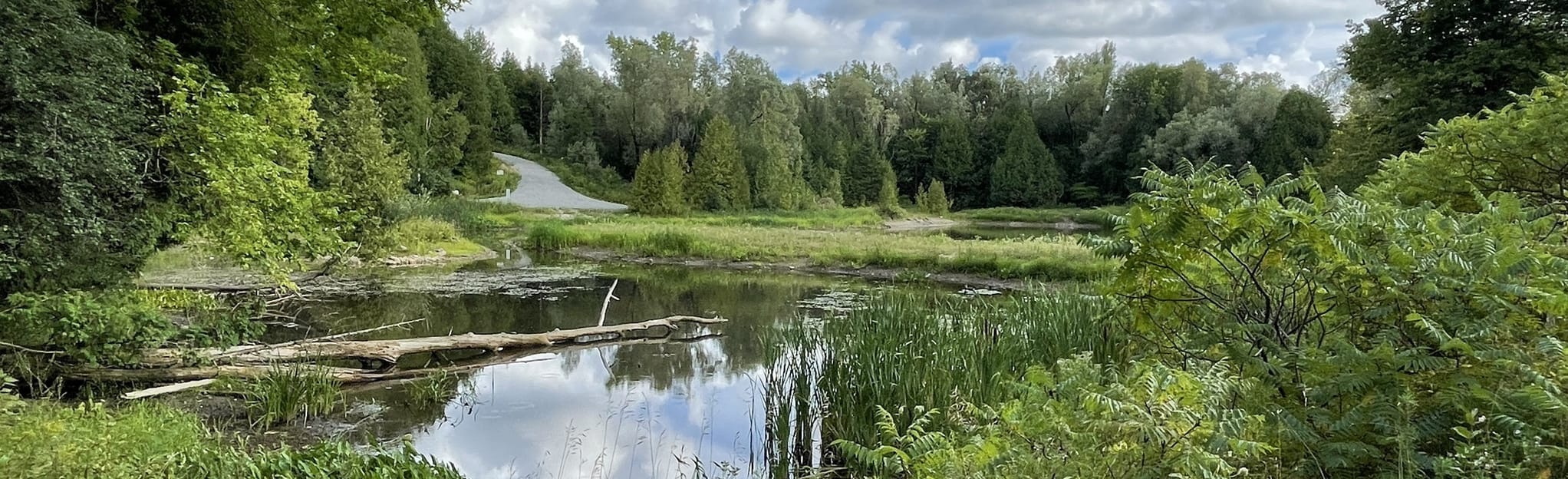 Springbank, Devil's Den Pond, and Railway Trail: 467 Reviews, Map ...