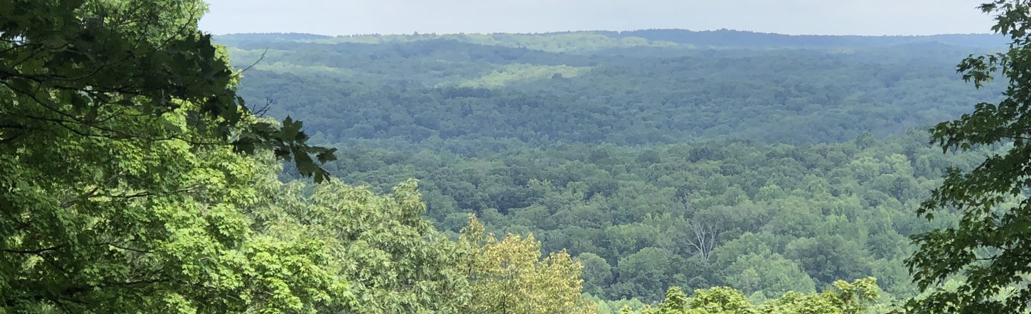 Browning Hill Loop, Indiana 11 Reviews, Map AllTrails