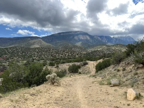 10 Best Trails and Hikes in Placitas AllTrails