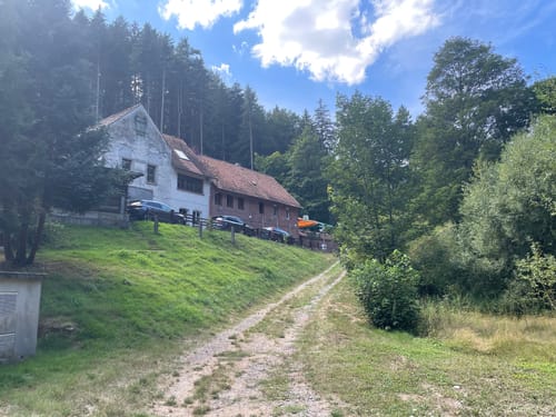 Wolfental und Drachenfels Rundweg