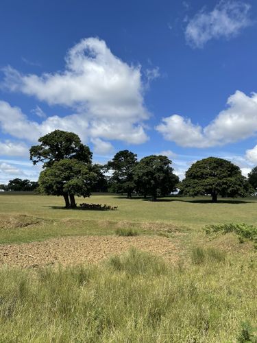 2023 Best 10 Trails, Walks, And Paths In Milton Keynes 