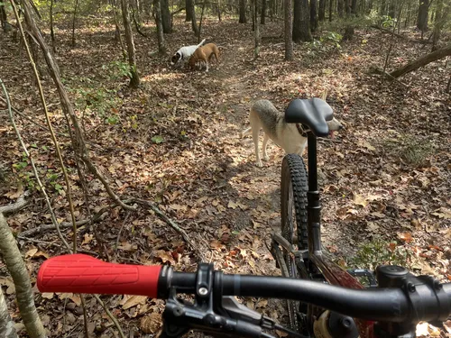 Best Hikes and Trails in Pine Ridge Park | AllTrails