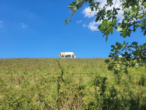 Thanninger Weiher Rundwanderweg
