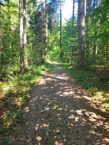 Thanninger Weiher Rundwanderweg