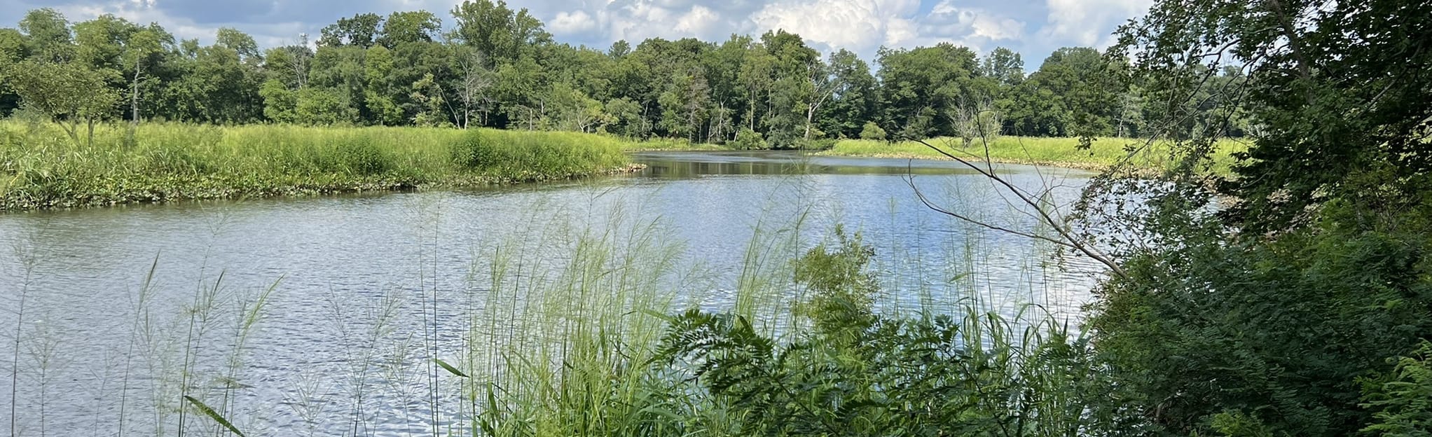 Creekside and Oak Ridge Trail 75 Reviews, Map New Jersey AllTrails