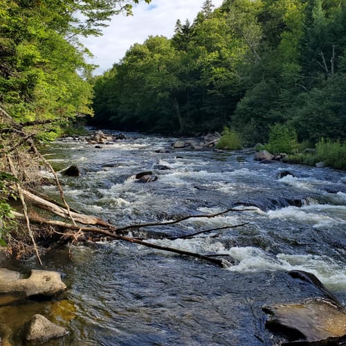 2023 Best trails in Lake Francis State Park AllTrails