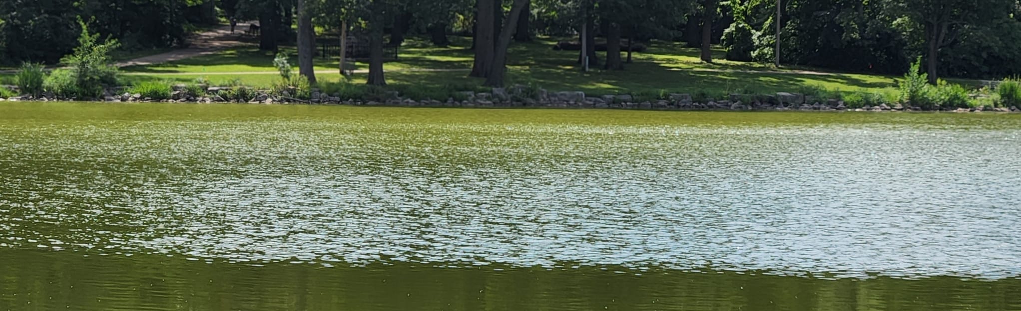 Jackson Park Loop, Wisconsin 72 Reviews, Map AllTrails