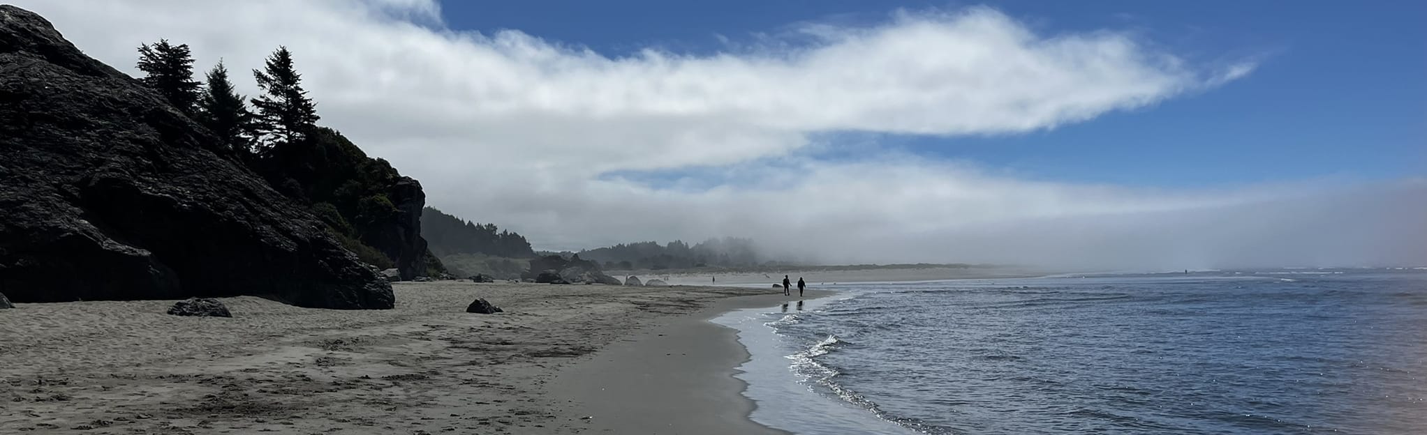 Moonstone Beach, California 63 Reviews, Map AllTrails