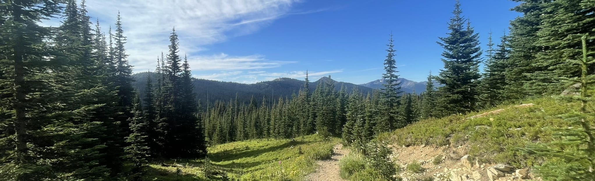 Buckhorn Campground to Kicking - EyJidWNrZXQiOiJhc3NldHMuYWxsdHJhaWxzLmNvbSIsImtleSI6InVwbG9hZHMvcGhvdG8vaW1hZ2UvNTExMzIwMDEvNzE1NDlhNDllZmM2NGNmZDMzOGI0M2Y1MWZhZWRmNTkuanBnIiwiZWRpdHMiOnsidG9Gb3JtYXQiOiJqcGVnIiwicmVzaXplIjp7IndpZHRoIjoyMDQ0LCJoZWlnaHQiOjYyNCwiZml0IjoiY292ZXIifSwicm90YXRlIjpudWxsLCJqcGVnIjp7InRyZWxsaXNRdWFudGlzYXRpb24iOnRydWUsIm92ZXJzaG9vdERlcmluZ2luZyI6dHJ1ZSwib3B0aW1pc2VTY2FucyI6dHJ1ZSwicXVhbnRpc2F0aW9uVGFibGUiOjN9fX0=