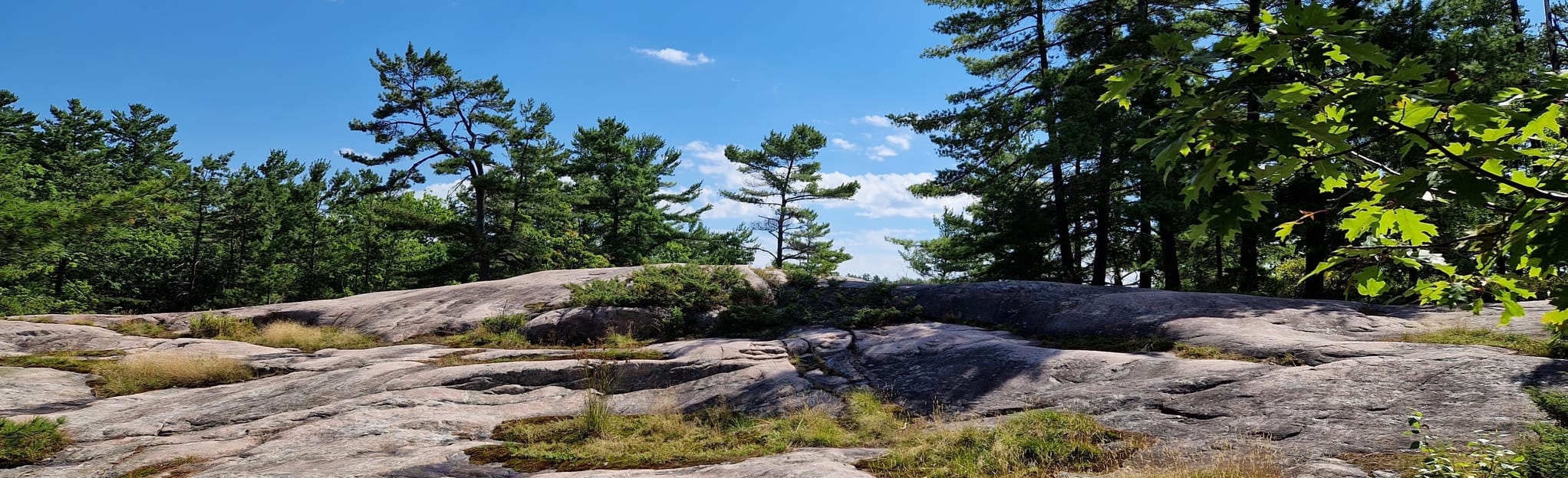 Harold Point via Beaver Dams: 29 Reviews, Map - Ontario, Canada | AllTrails
