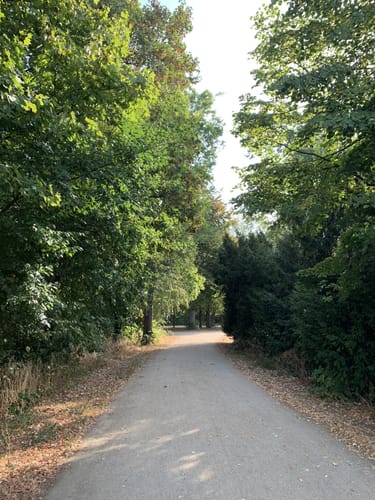 Durch die Ludwigshafener Parkinsel