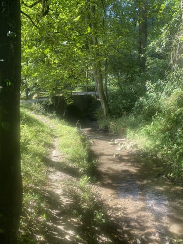 Rundwanderung Angerbachtal (A9) [CLOSED]