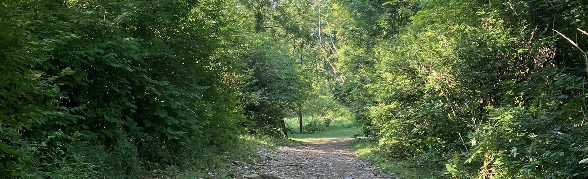 Blendon Woods Disc Golf Course Ohio 21 Reviews Map AllTrails