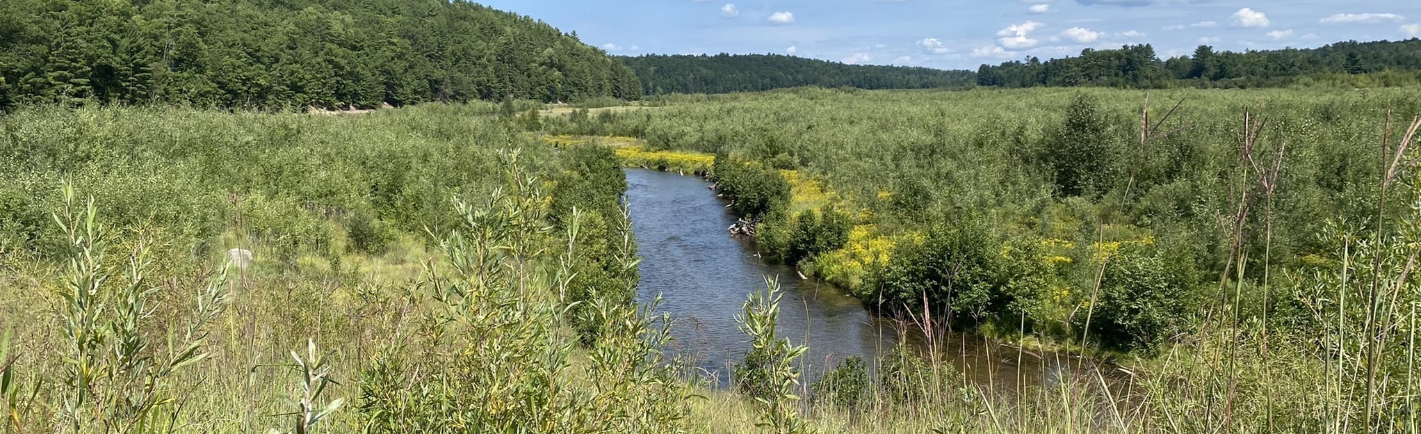 Brown Bridge Ridge Trail, Michigan 107 Reviews, Map AllTrails