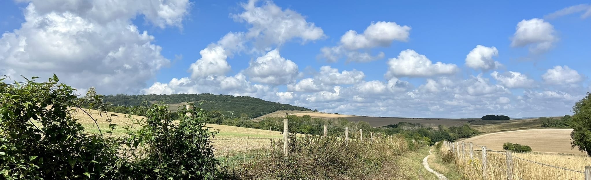 Kingley Vale and Stoughton Circular West Sussex, England AllTrails