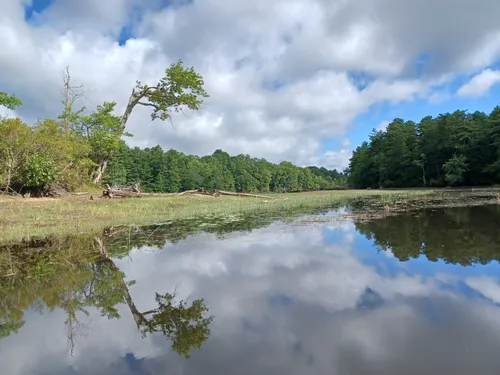 Best River Trails in Big River State Management Area | AllTrails