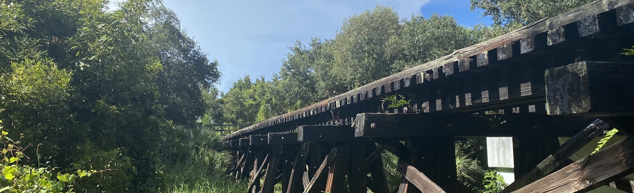 The Legacy Trail Florida 744 - EyJidWNrZXQiOiJhc3NldHMuYWxsdHJhaWxzLmNvbSIsImtleSI6InVwbG9hZHMvcGhvdG8vaW1hZ2UvNTExNjI5NTkvOTVjMDZmMzEyZTMxNzQ0MmEzYjM0OGFhZjNkMDJmYzAuanBnIiwiZWRpdHMiOnsidG9Gb3JtYXQiOiJqcGVnIiwicmVzaXplIjp7IndpZHRoIjoyMDQ0LCJoZWlnaHQiOjYyNCwiZml0IjoiY292ZXIifSwicm90YXRlIjpudWxsLCJqcGVnIjp7InRyZWxsaXNRdWFudGlzYXRpb24iOnRydWUsIm92ZXJzaG9vdERlcmluZ2luZyI6dHJ1ZSwib3B0aW1pc2VTY2FucyI6dHJ1ZSwicXVhbnRpc2F0aW9uVGFibGUiOjN9fX0=